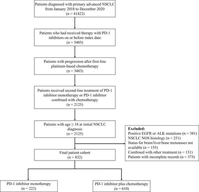 Immune checkpoint inhibitors alone or in combination with chemotherapy for treatment of advanced non-small cell lung cancer after first-line platinum-based chemotherapy: A propensity score matching analysis